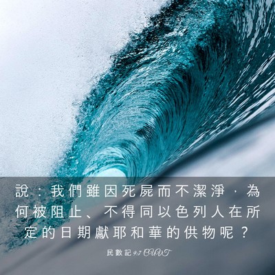 Picture 03 - 民 數 記 9:7 CUVT - 說 ： 我 們 雖 因 死 屍 而 不 潔 淨 - Bible Verse Picture