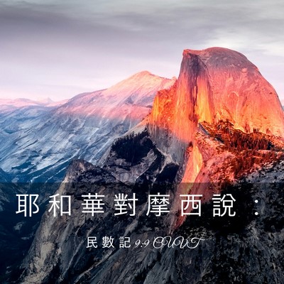 Picture 03 - 民 數 記 9:9 CUVT - 耶 和 華 對 摩 西 說 - Bible Verse Picture