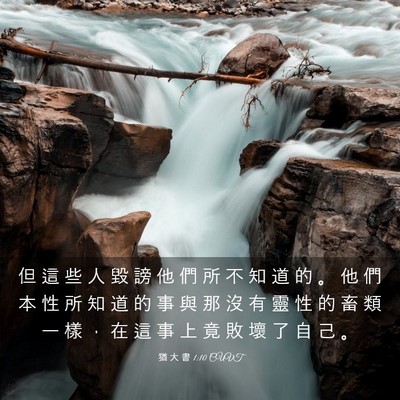 Picture 03 - 猶 大 書 1:10 CUVT - 但 這 些 人 毀 謗 他 們 所 不 知 道 - Bible Verse Picture