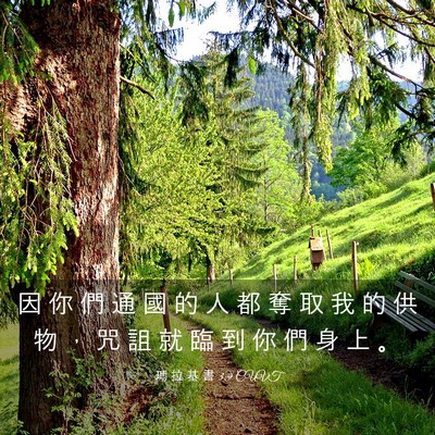 Picture 03 - 瑪 拉 基 書 3:9 CUVT - 因 你 們 通 國 的 人 都 奪 取 我 的 - Bible Verse Picture