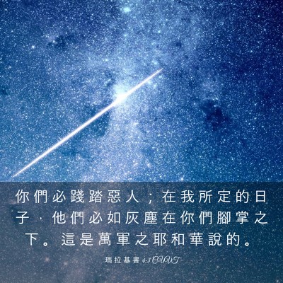 Picture 03 - 瑪 拉 基 書 4:3 CUVT - 你 們 必 踐 踏 惡 人 ； 在 我 所 定 - Bible Verse Picture