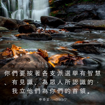 Picture 03 - 申 命 記 1:13 CUVT - 你 們 要 按 著 各 支 派 選 舉 有 智 - Bible Verse Picture