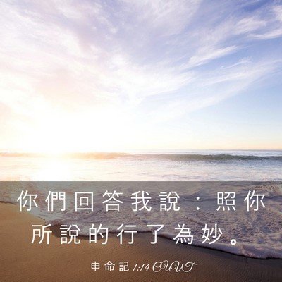 Picture 03 - 申 命 記 1:14 CUVT - 你 們 回 答 我 說 ： 照 你 所 說 的 - Bible Verse Picture