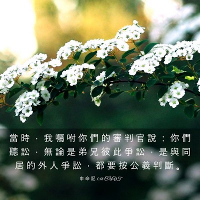 Picture 03 - 申 命 記 1:16 CUVT - 當 時 ， 我 囑 咐 你 們 的 審 判 官 - Bible Verse Picture