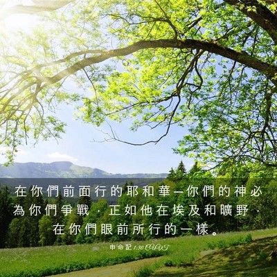 Picture 03 - 申 命 記 1:30 CUVT - 在 你 們 前 面 行 的 耶 和 華 ─ 你 - Bible Verse Picture