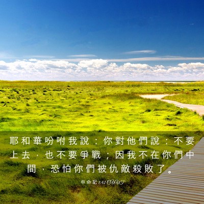 Picture 03 - 申 命 記 1:42 CUVT - 耶 和 華 吩 咐 我 說 ： 你 對 他 們 - Bible Verse Picture