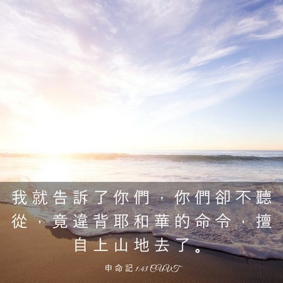 Picture 03 - 申 命 記 1:43 CUVT - 我 就 告 訴 了 你 們 ， 你 們 卻 不 - Bible Verse Picture