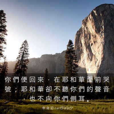 Picture 03 - 申 命 記 1:45 CUVT - 你 們 便 回 來 ， 在 耶 和 華 面 前 - Bible Verse Picture