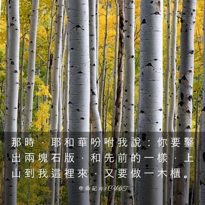 Picture 03 - 申 命 記 10:1 CUVT - 那 時 ， 耶 和 華 吩 咐 我 說 ： 你 - Bible Verse Picture