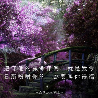 Picture 03 - 申 命 記 10:13 CUVT - 遵 守 他 的 誡 命 律 例 ， 就 是 我 - Bible Verse Picture