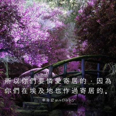 Picture 03 - 申 命 記 10:19 CUVT - 所 以 你 們 要 憐 愛 寄 居 的 ， 因 - Bible Verse Picture