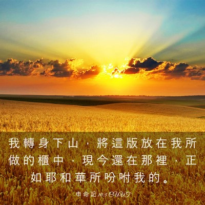 Picture 03 - 申 命 記 10:5 CUVT - 我 轉 身 下 山 ， 將 這 版 放 在 我 - Bible Verse Picture