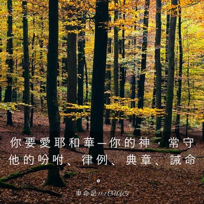 Picture 03 - 申 命 記 11:1 CUVT - 你 要 愛 耶 和 華 ─ 你 的 神 ， 常 - Bible Verse Picture