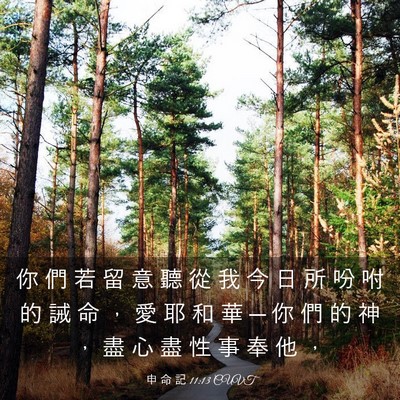 Picture 03 - 申 命 記 11:13 CUVT - 你 們 若 留 意 聽 從 我 今 日 所 吩 - Bible Verse Picture