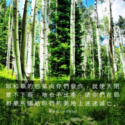 Picture 03 - 申 命 記 11:17 CUVT - 耶 和 華 的 怒 氣 向 你 們 發 作 ， - Bible Verse Picture