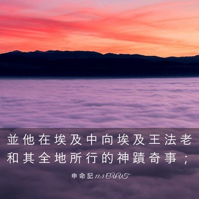 Picture 03 - 申 命 記 11:3 CUVT - 並 他 在 埃 及 中 向 埃 及 王 法 老 - Bible Verse Picture