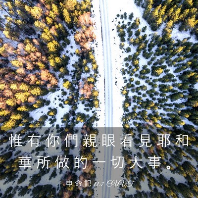 Picture 03 - 申 命 記 11:7 CUVT - 惟 有 你 們 親 眼 看 見 耶 和 華 所 - Bible Verse Picture