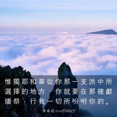 Picture 03 - 申 命 記 12:14 CUVT - 惟 獨 耶 和 華 從 你 那 一 支 派 中 - Bible Verse Picture