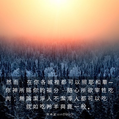 Picture 03 - 申 命 記 12:15 CUVT - 然 而 ， 在 你 各 城 裡 都 可 以 照 - Bible Verse Picture
