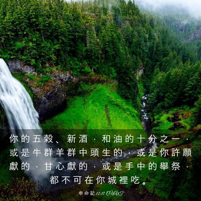 Picture 03 - 申 命 記 12:17 CUVT - 你 的 五 穀 、 新 酒 ， 和 油 的 十 - Bible Verse Picture