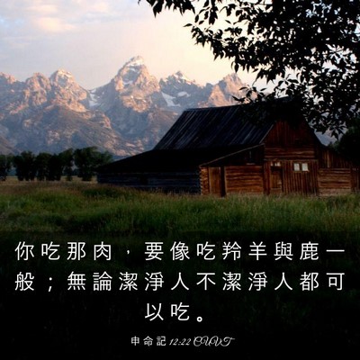 Picture 03 - 申 命 記 12:22 CUVT - 你 吃 那 肉 ， 要 像 吃 羚 羊 與 鹿 - Bible Verse Picture