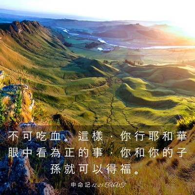 Picture 03 - 申 命 記 12:25 CUVT - 不 可 吃 血 。 這 樣 ， 你 行 耶 和 - Bible Verse Picture