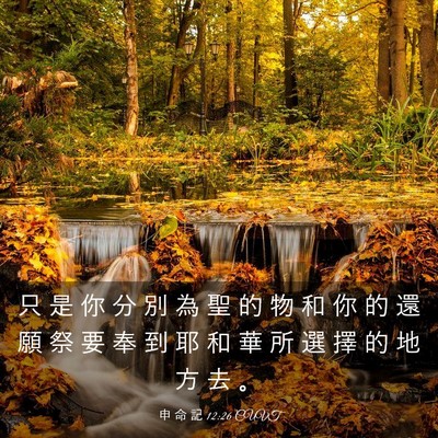 Picture 03 - 申 命 記 12:26 CUVT - 只 是 你 分 別 為 聖 的 物 和 你 的 - Bible Verse Picture