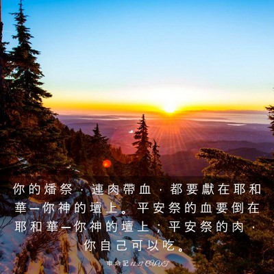 Picture 03 - 申 命 記 12:27 CUVT - 你 的 燔 祭 ， 連 肉 帶 血 ， 都 要 - Bible Verse Picture