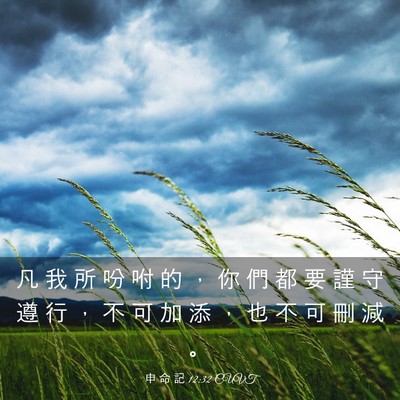 Picture 03 - 申 命 記 12:32 CUVT - 凡 我 所 吩 咐 的 ， 你 們 都 要 謹 - Bible Verse Picture