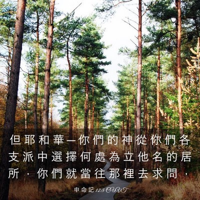 Picture 03 - 申 命 記 12:5 CUVT - 但 耶 和 華 ─ 你 們 的 神 從 你 們 - Bible Verse Picture