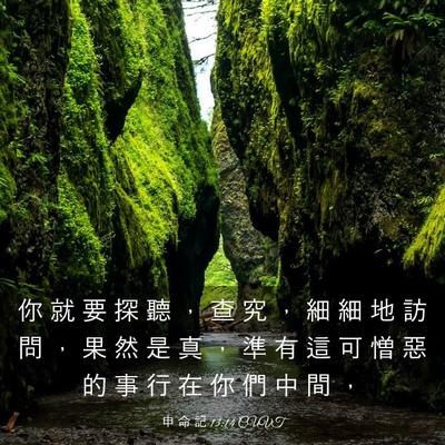 Picture 03 - 申 命 記 13:14 CUVT - 你 就 要 探 聽 ， 查 究 ， 細 細 地 - Bible Verse Picture