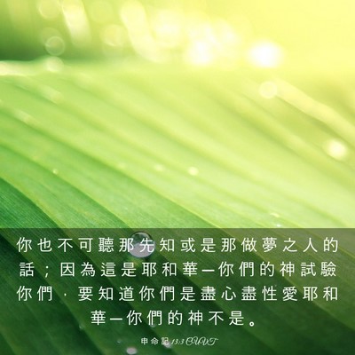 Picture 03 - 申 命 記 13:3 CUVT - 你 也 不 可 聽 那 先 知 或 是 那 做 - Bible Verse Picture