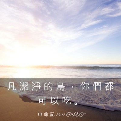 Picture 03 - 申 命 記 14:11 CUVT - 凡 潔 淨 的 鳥 ， 你 們 都 可 以 吃 - Bible Verse Picture