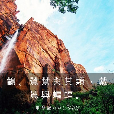 Picture 03 - 申 命 記 14:18 CUVT - 鸛 、 鷺 鷥 與 其 類 ， 戴 鵀 與 蝙 - Bible Verse Picture