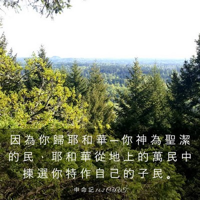 Picture 03 - 申 命 記 14:2 CUVT - 因 為 你 歸 耶 和 華 ─ 你 神 為 聖 - Bible Verse Picture