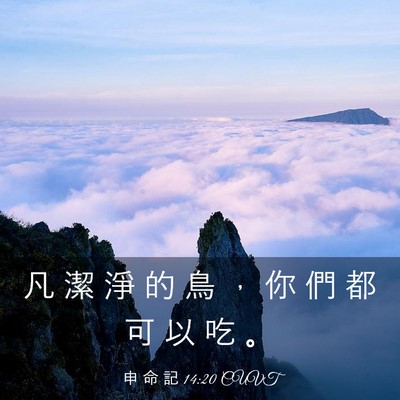 Picture 03 - 申 命 記 14:20 CUVT - 凡 潔 淨 的 鳥 ， 你 們 都 可 以 吃 - Bible Verse Picture