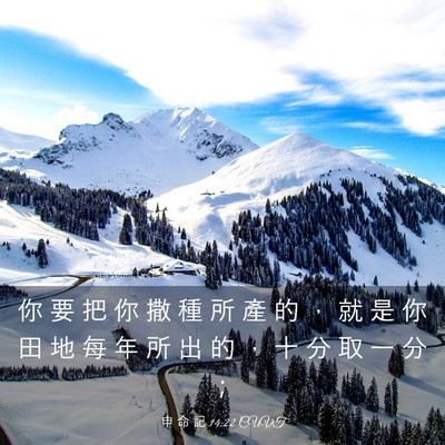 Picture 03 - 申 命 記 14:22 CUVT - 你 要 把 你 撒 種 所 產 的 ， 就 是 - Bible Verse Picture