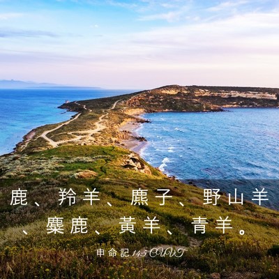Picture 03 - 申 命 記 14:5 CUVT - 鹿 、 羚 羊 、 麃 子 、 野 山 羊 、 - Bible Verse Picture