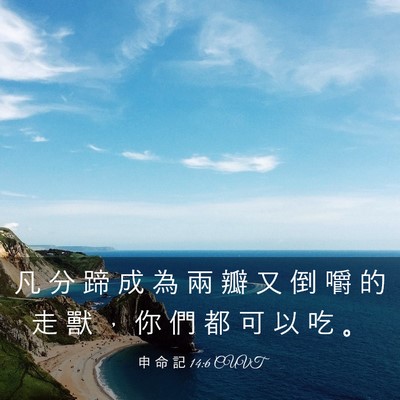 Picture 03 - 申 命 記 14:6 CUVT - 凡 分 蹄 成 為 兩 瓣 又 倒 嚼 的 走 - Bible Verse Picture