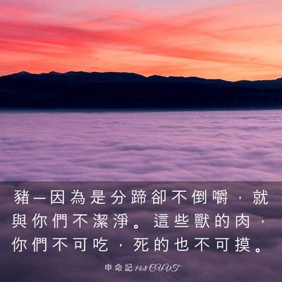 Picture 03 - 申 命 記 14:8 CUVT - 豬 ─ 因 為 是 分 蹄 卻 不 倒 嚼 ， - Bible Verse Picture