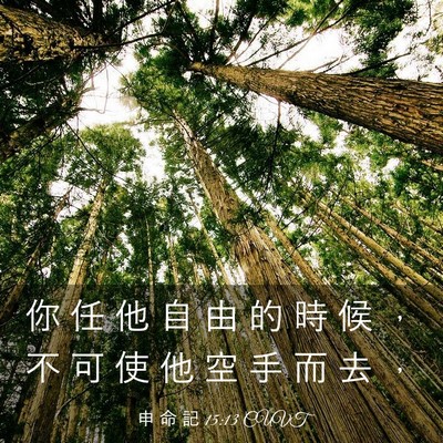 Picture 03 - 申 命 記 15:13 CUVT - 你 任 他 自 由 的 時 候 ， 不 可 使 - Bible Verse Picture