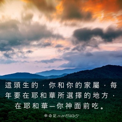 Picture 03 - 申 命 記 15:20 CUVT - 這 頭 生 的 ， 你 和 你 的 家 屬 ， - Bible Verse Picture