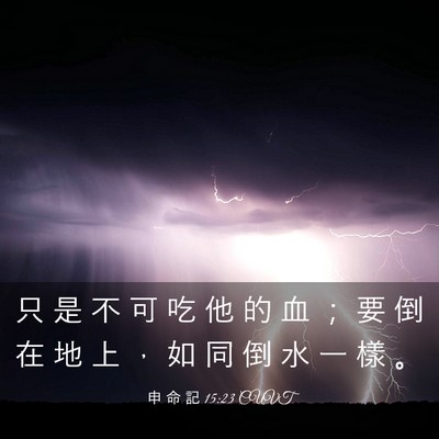 Picture 03 - 申 命 記 15:23 CUVT - 只 是 不 可 吃 他 的 血 ； 要 倒 在 - Bible Verse Picture