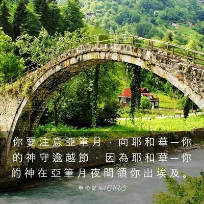 Picture 03 - 申 命 記 16:1 CUVT - 你 要 注 意 亞 筆 月 ， 向 耶 和 華 - Bible Verse Picture
