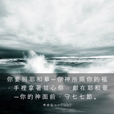 Picture 03 - 申 命 記 16:10 CUVT - 你 要 照 耶 和 華 ─ 你 神 所 賜 你 - Bible Verse Picture