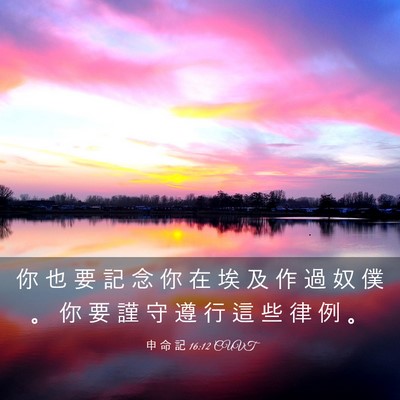 Picture 03 - 申 命 記 16:12 CUVT - 你 也 要 記 念 你 在 埃 及 作 過 奴 - Bible Verse Picture