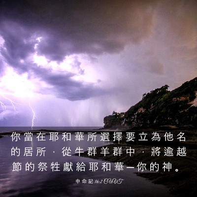 Picture 03 - 申 命 記 16:2 CUVT - 你 當 在 耶 和 華 所 選 擇 要 立 為 - Bible Verse Picture