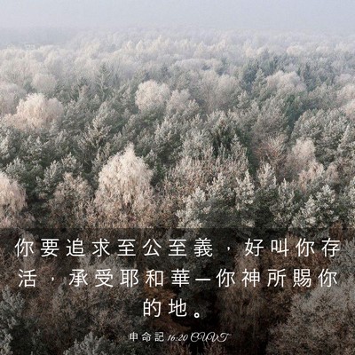 Picture 03 - 申 命 記 16:20 CUVT - 你 要 追 求 至 公 至 義 ， 好 叫 你 - Bible Verse Picture
