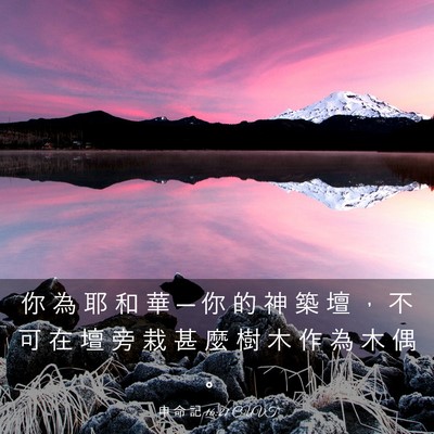 Picture 03 - 申 命 記 16:21 CUVT - 你 為 耶 和 華 ─ 你 的 神 築 壇 ， - Bible Verse Picture