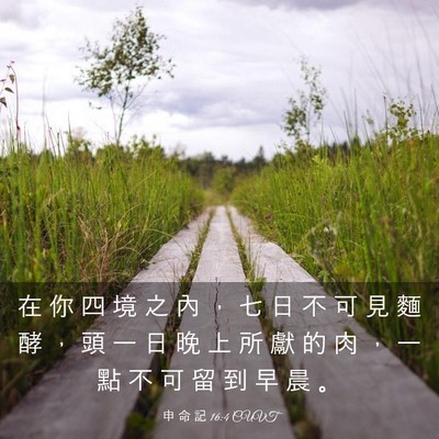 Picture 03 - 申 命 記 16:4 CUVT - 在 你 四 境 之 內 ， 七 日 不 可 見 - Bible Verse Picture